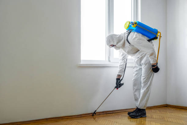 Best Wasp Removal Services  in Culpeper, VA