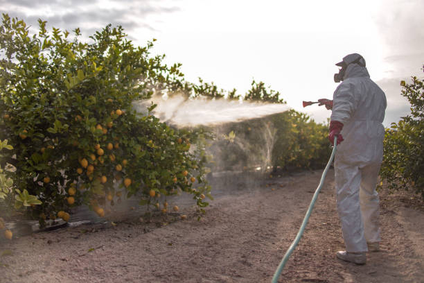Best Affordable Pest Control Services  in Culpeper, VA